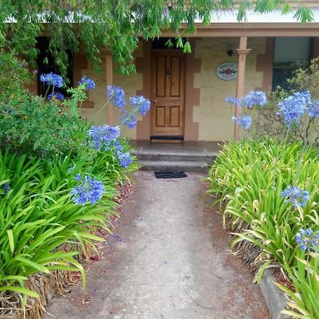 Walnut Cottage Angaston Exteriör bild
