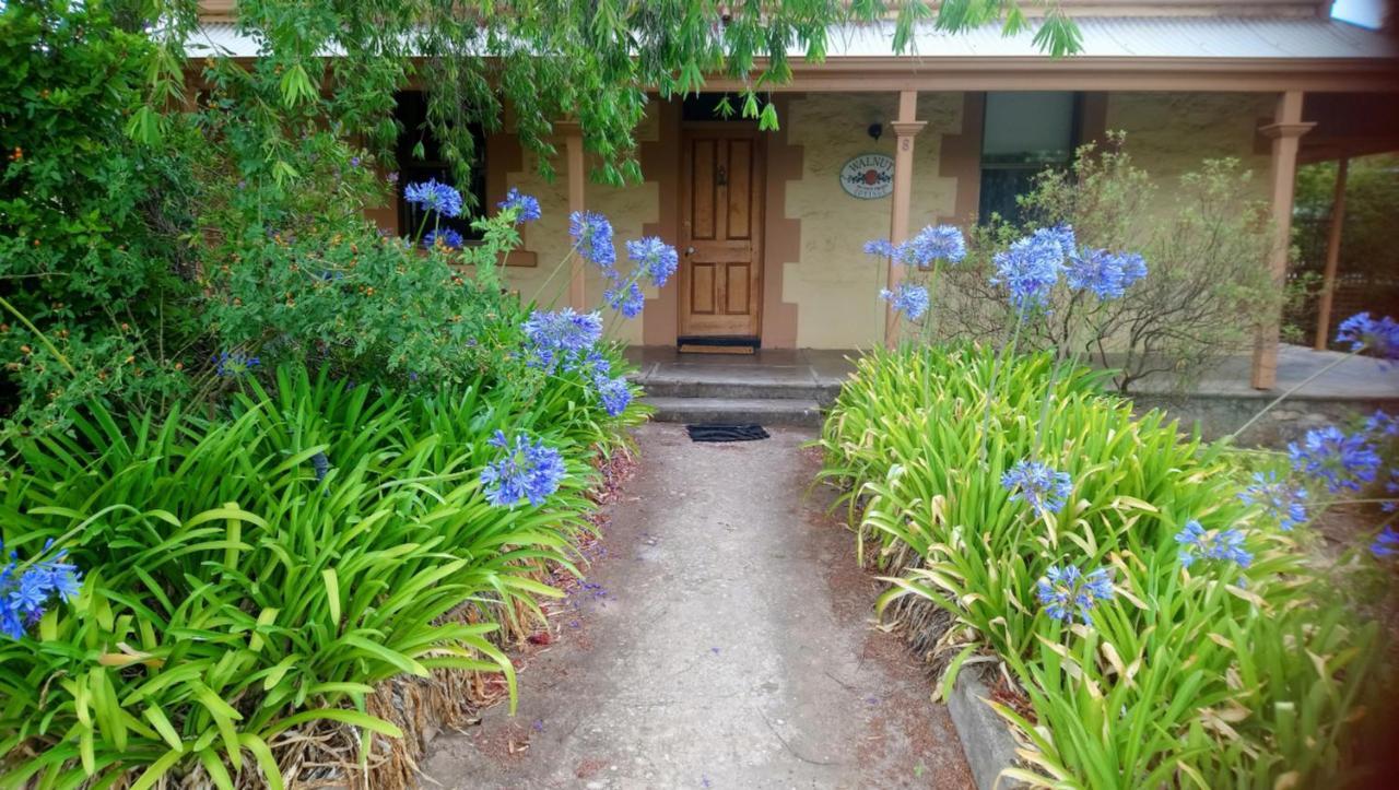 Walnut Cottage Angaston Exteriör bild