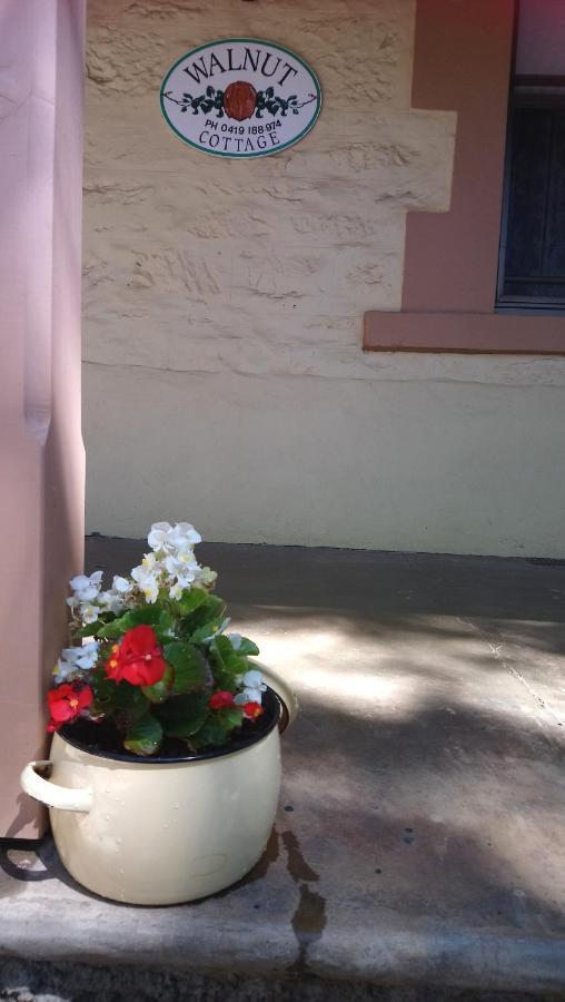 Walnut Cottage Angaston Exteriör bild