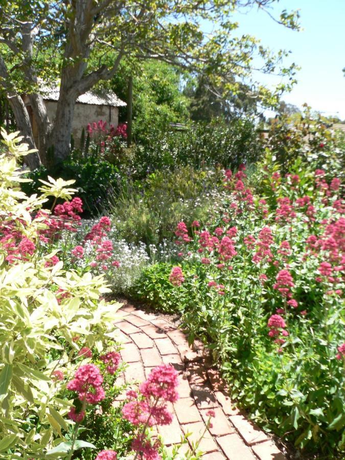 Walnut Cottage Angaston Rum bild